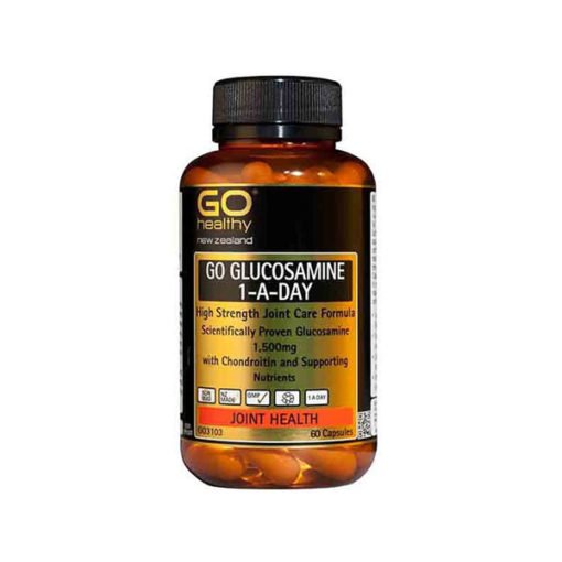 Go Glucosamine 1-A-Day - Glucosamine 1